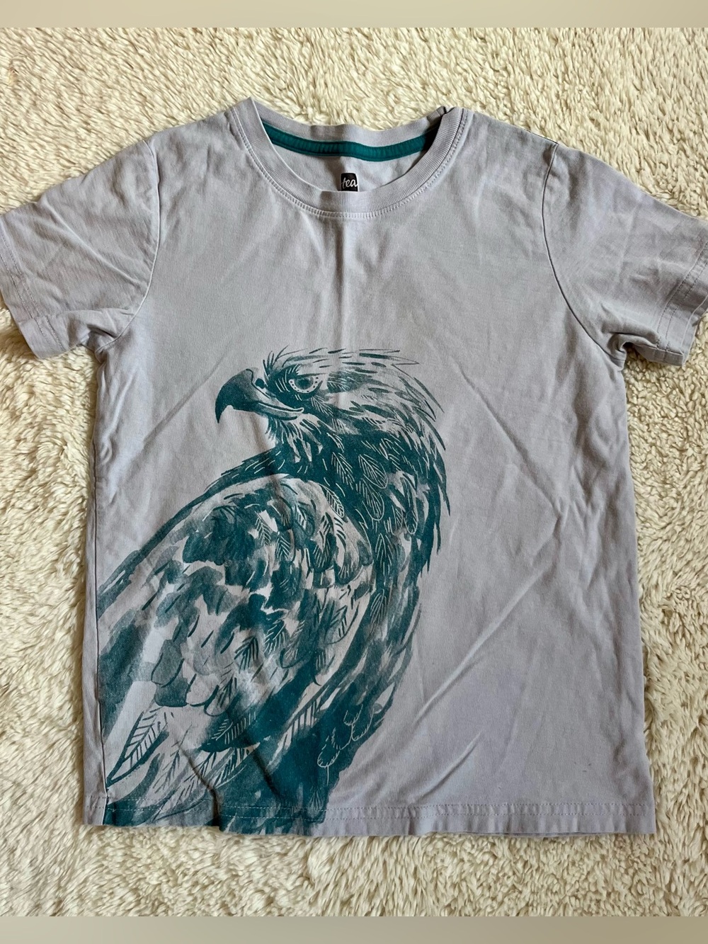 Tea Collection T-shirt w/ Teal Eagle Graphic Boys Sz 8